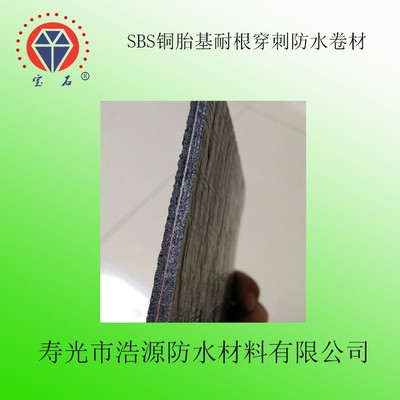 廠家 直銷寶石牌 SBS銅胎基耐根穿刺防水卷材 建筑防水專用 -25&deg;C聚酯胎 厚度4mm 國(guó)標(biāo) sbs防水卷材圖片_高清圖_細(xì)節(jié)圖